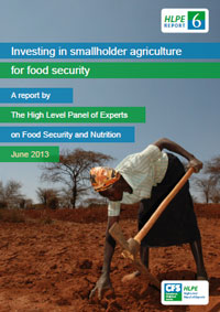 粮农组织发布关于生物燃料和小农户的高级别报告